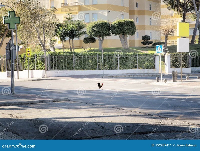 Descubre el Exclusivo Juego de Casino Chicken Road en España, chicken road game